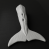 Summer the Dolphin