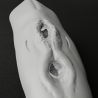 Summer the Dolphin
